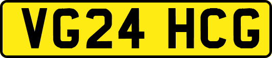 VG24HCG
