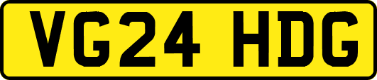 VG24HDG