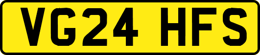 VG24HFS
