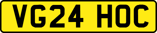 VG24HOC