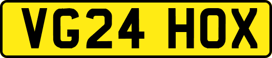 VG24HOX