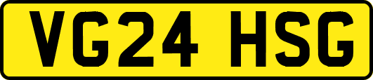 VG24HSG