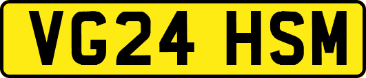 VG24HSM