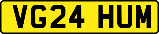 VG24HUM