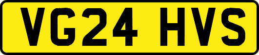 VG24HVS