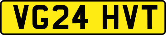 VG24HVT