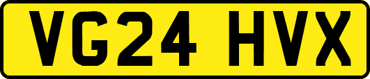 VG24HVX