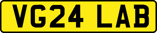 VG24LAB