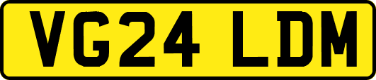 VG24LDM