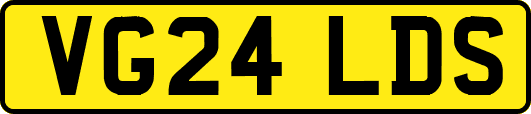 VG24LDS
