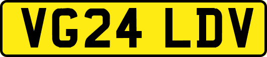 VG24LDV