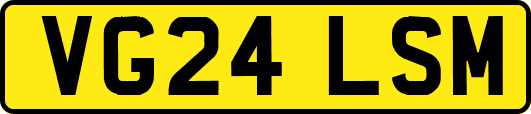 VG24LSM