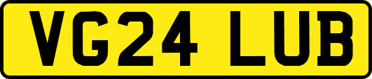 VG24LUB