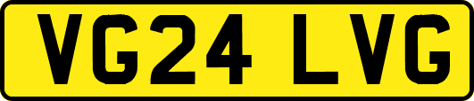 VG24LVG
