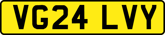 VG24LVY