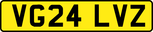 VG24LVZ