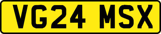 VG24MSX