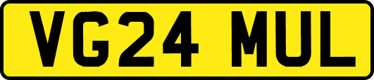 VG24MUL