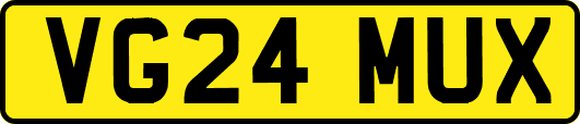 VG24MUX