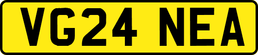 VG24NEA