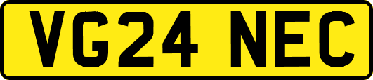 VG24NEC