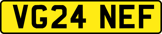VG24NEF