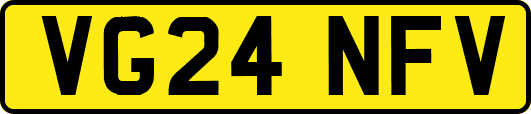VG24NFV