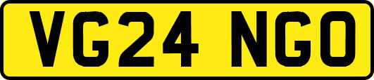 VG24NGO