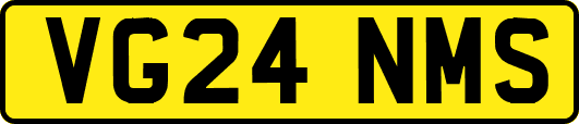 VG24NMS