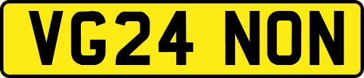 VG24NON
