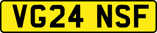 VG24NSF