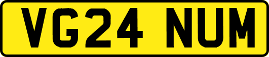 VG24NUM