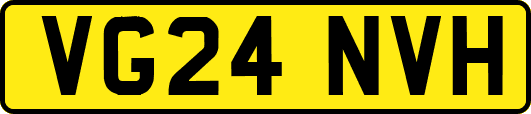 VG24NVH