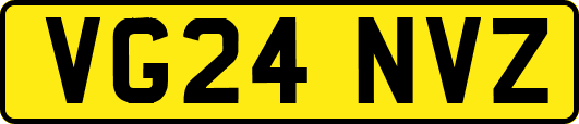 VG24NVZ