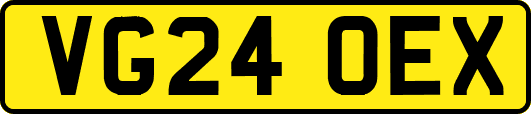 VG24OEX