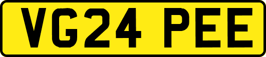 VG24PEE
