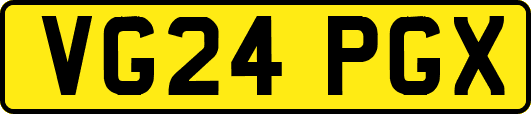 VG24PGX