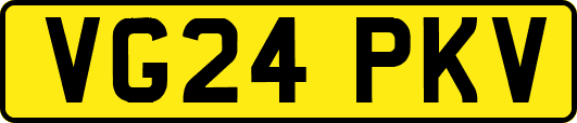 VG24PKV