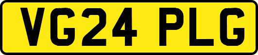VG24PLG
