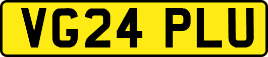 VG24PLU