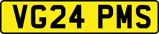 VG24PMS