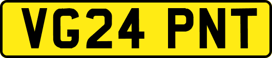 VG24PNT