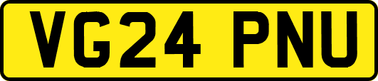 VG24PNU