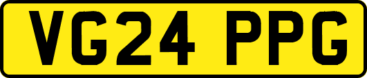 VG24PPG