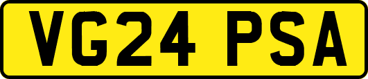 VG24PSA