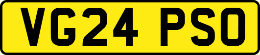 VG24PSO