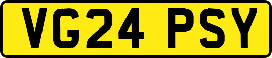 VG24PSY