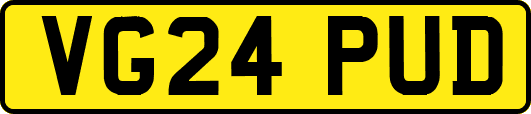 VG24PUD