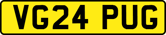 VG24PUG