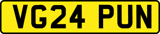 VG24PUN